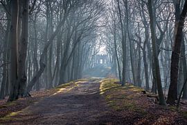 Domaine Vogelenzang Leyduin sur martin slagveld