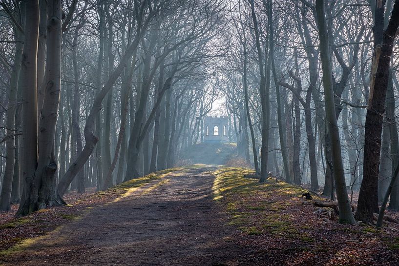 Vogelenzang Leyduin Estate by martin slagveld