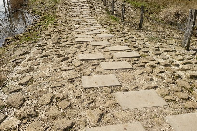 Natuurlijk voetpad by André Roes