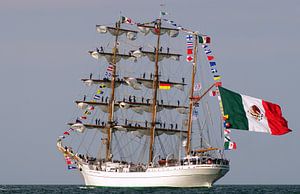 Bark Cuauhtemoc