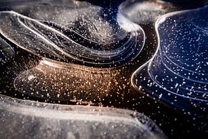 formulaires de glace