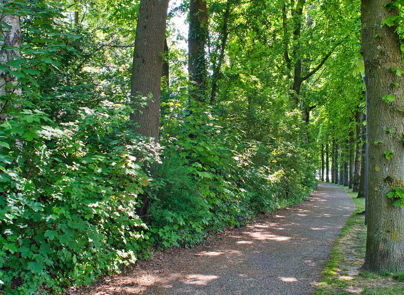 Sentier de randonnée dans le parc Weerter au centre ville par Jolanda de Jong-Jansen