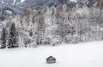 Hut in een sneeuwlandschap van Thomas Lang