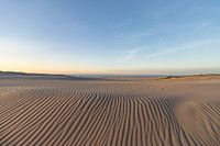 AMELAND Ballumer Blinkert