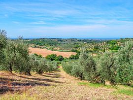Toscane dorp en huizen