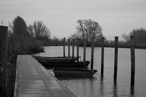 Boten steiger Gat van de Ham