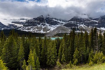 Landschap in de Rocky Mountains van Roland Brack