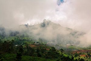 Mistige bergen in Sri Lanka van Gijs de Kruijf