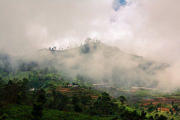 Mistige bergen in Sri Lanka van Gijs de Kruijf