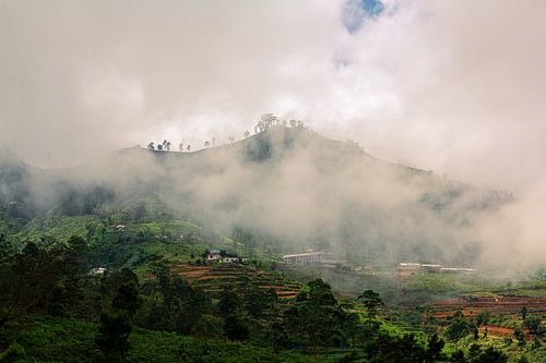 Neblige Berge in Sri Lanka