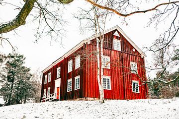 Rood huis in de sneeuw van Nick Davids