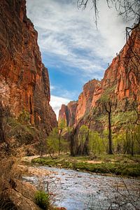 Riverside Walk in Zion Nationalpark