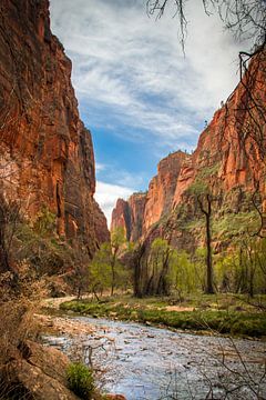 Riverside walk in Zion National Park