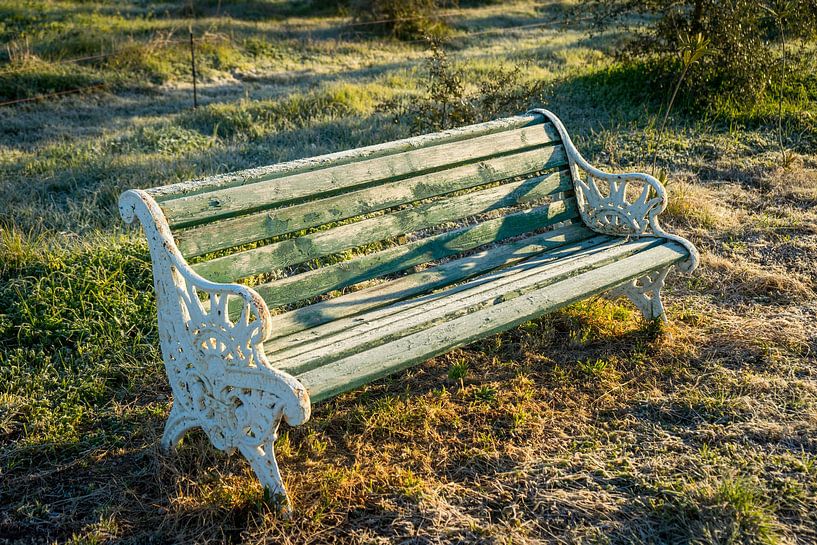 Bench outside in the green by Stefania van Lieshout