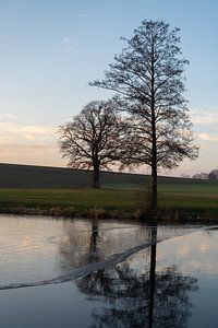 Bomen, velden en een rustige sfeer aan het water van Heidemuellerin