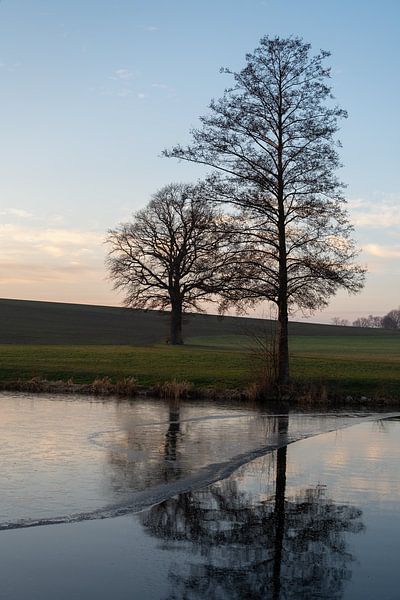 Trees, fields and a tranquil ambience by the water by Adriana Müller