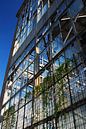 And Still It Grows by Björn Massuger thumbnail
