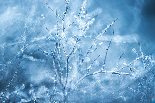 kleurrijk abstract mos