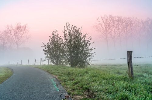 meadow with a beautiful sunrise