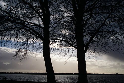 Avondlicht bij de Wieden