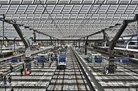 Rotterdam Hauptbahnhof von Esther Seijmonsbergen Miniaturansicht