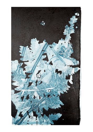 Imprimé plantes et fleurs botaniques, Voile