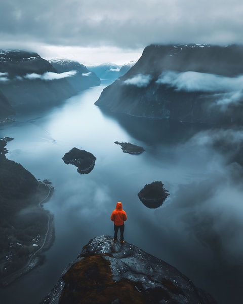 Blick über den Fjord von fernlichtsicht