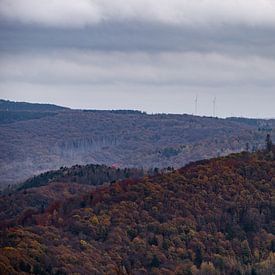 Vogelsang tower IP by Wytze Kiers