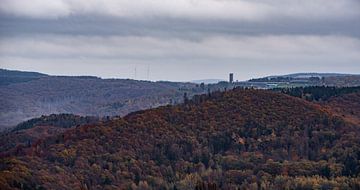 Vogelsang tower IP by Wytze Kiers