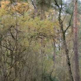 Herfst Softfocus von Roland Swennen