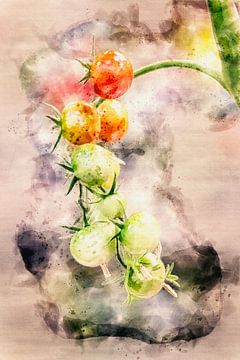 Tomaten, rijp en groen, water color II van Author Sim1