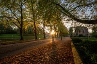 Noordersingel Leeuwarden in herfstsfeer
