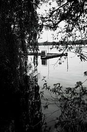 Stillleben am Seeufer