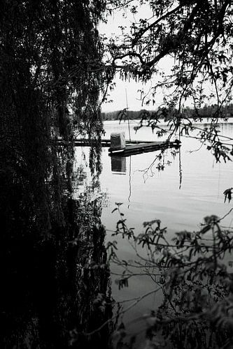 Still life on the lakeshore