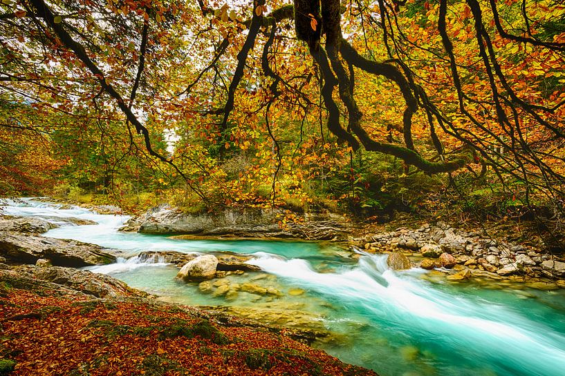 Herbstlaub am wilden Fluss von Denis Feiner