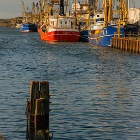 Sonnenuntergang im Fischereihafen von scheepskijkerhavenfotografie