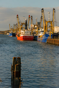 Sonnenuntergang im Fischereihafen