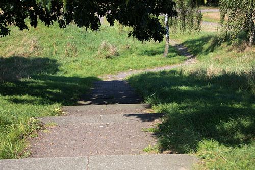 Ontdek de natuur in een bosrijk gebied in Emsland, Nedersaksen, Duitsland