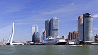 Erasmus Bridge and Kop van Zuid