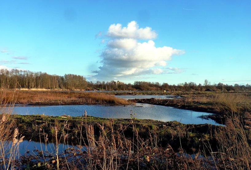 Mooi beeld in de polder von M de Vos