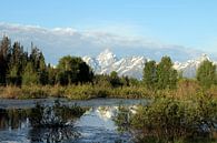 Grand Teton National Park van Renate Knapp thumbnail