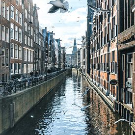 Birds over Amsterdam van Dennis H