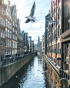 Birds over Amsterdam sur Dennis H