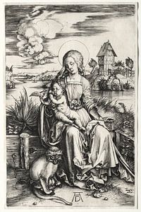 La Sainte Vierge à l'enfant et au singe, Albrecht Dürer