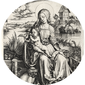 De Heilige Maagd met kind en aap, Albrecht Dürer van De Canon