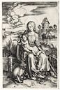 Die heilige Jungfrau mit Kind und Affe, Albrecht Dürer von De Canon Miniaturansicht