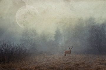 February Fairy tale landscape by Dirk Wüstenhagen