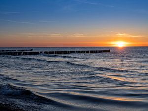 Épis au coucher du soleil sur la côte allemande de la mer Baltique