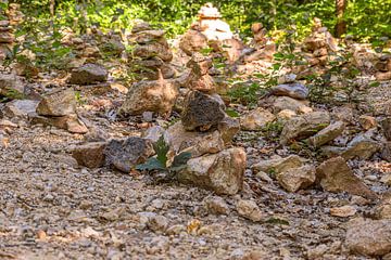 Servië - Duivelsstad Kursumlija van Photoart-Naegele