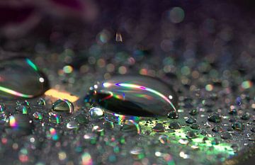Reflection with drops by Carla van Zomeren